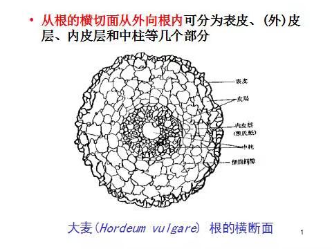 微信圖片_20230521195501.jpg